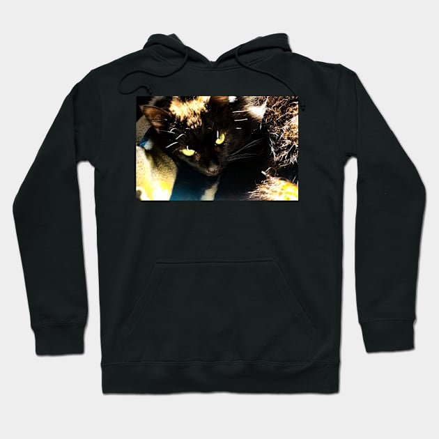 Green eyed black cat Hoodie by PandLCreations